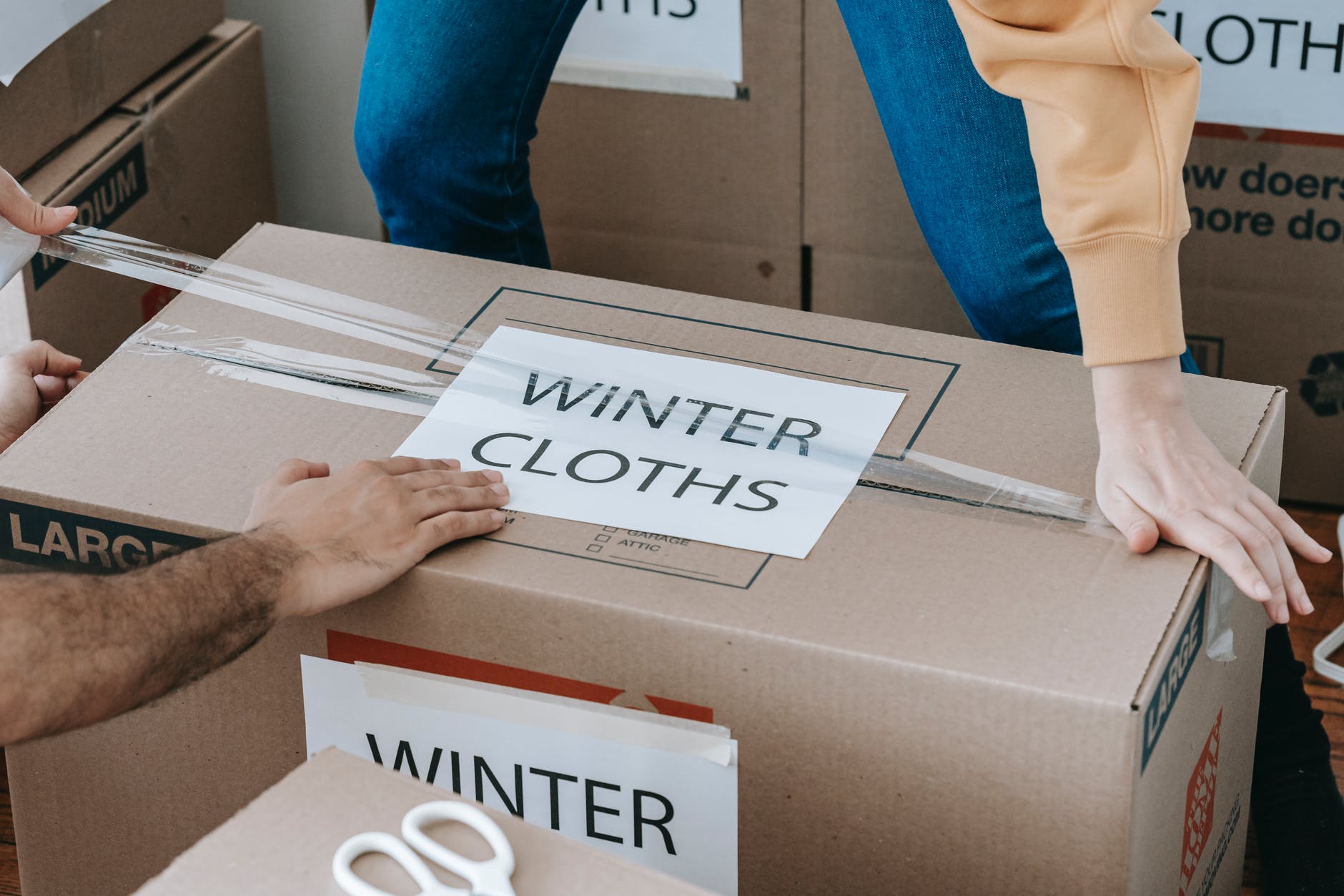 winter move