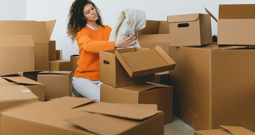 REMOVALS COMPANY