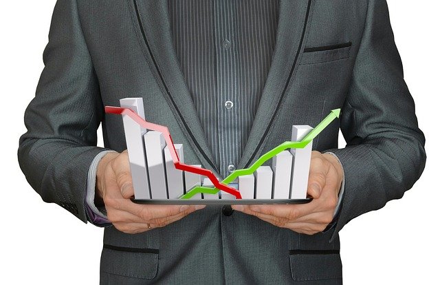 Management Analysts